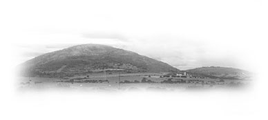 Control biológico de fauna a tráves de la cetreria en cultivos, viñedos. Cetrería en Uruguay.