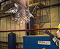 Control de aves en fabrica con gávilan mixto, cetrería en Uruguay. Intercepta Uruguay