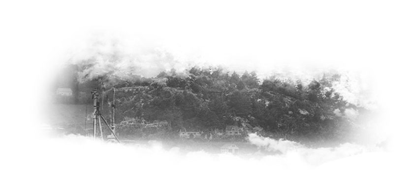 Control biológico de fauna a tráves de la cetreria en cultivos, viñedos. Cetrería en Uruguay.