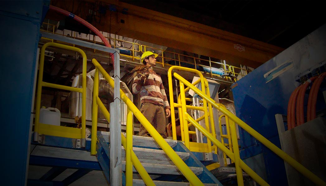 Control de palomas en galpones, fabricas.