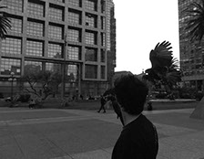 Cetrero en la plaza independencia, trabajando con el gavilán mixto, de fondo se aprecia el edificio de presidencia